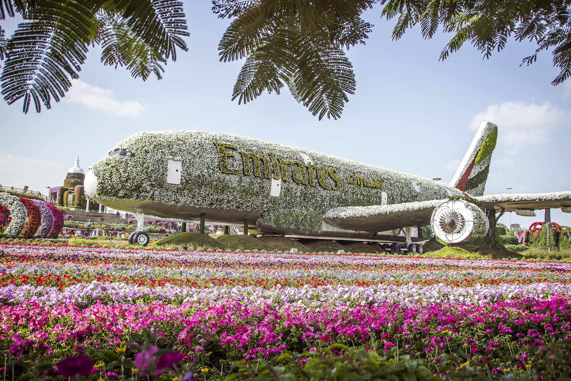 Dubaï : le plus grand jardin de fleurs au monde ouvre en plein  désert!_French.news.cn